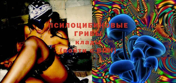 спайс Магас