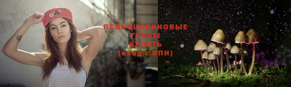 спайс Магас